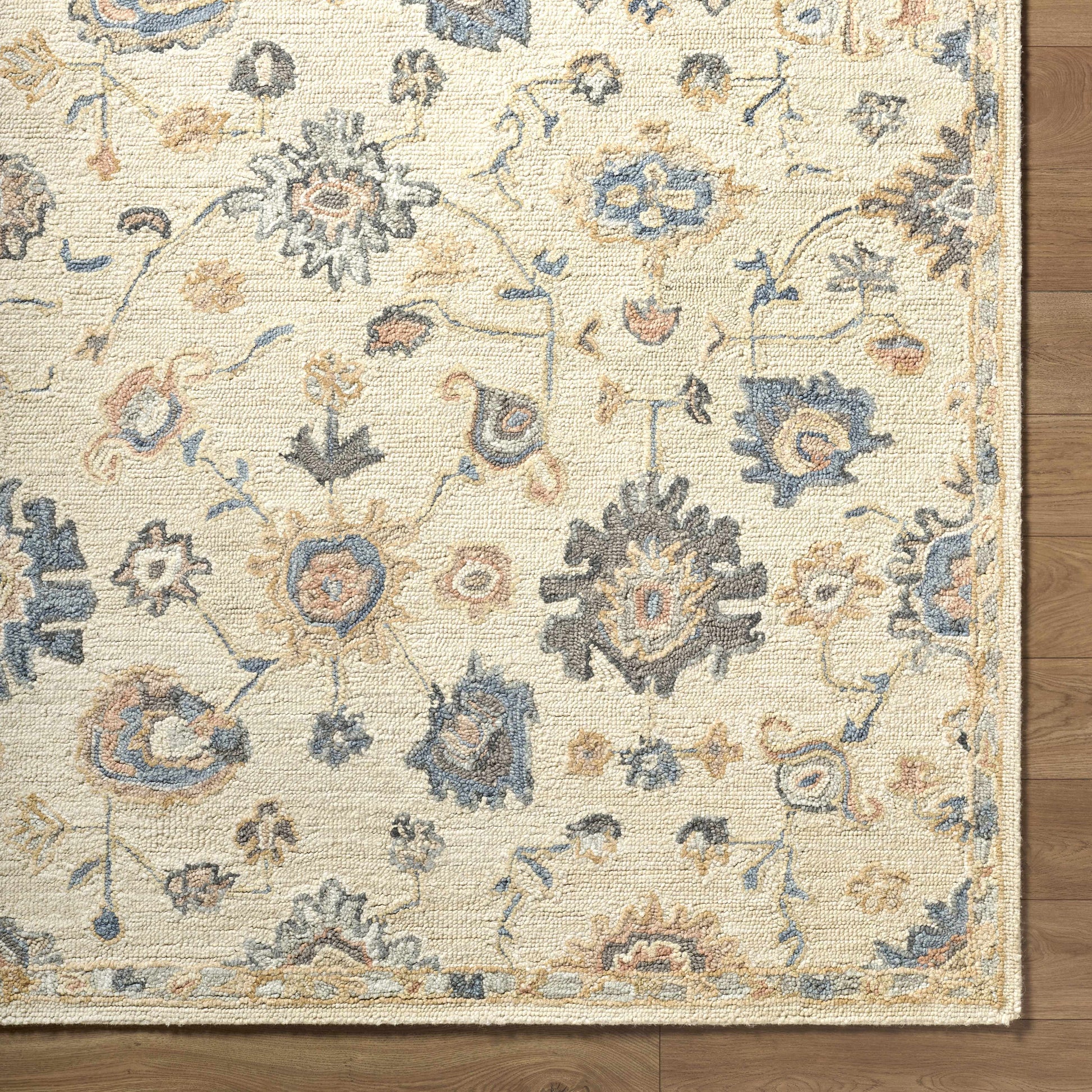 Candid Oushak Area Rug