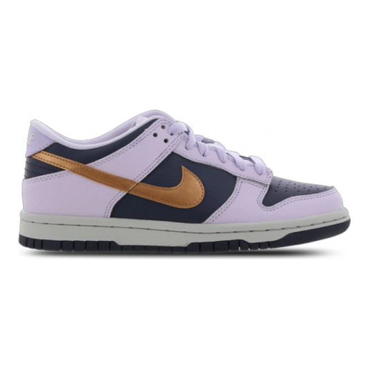Nike Dunk Low SE Copper Swoosh Kids Sneakers Barely Grape