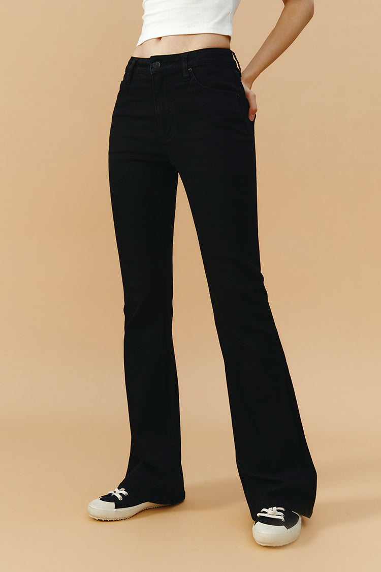 Vintage High Rise Flare LALA Jeans HJ186