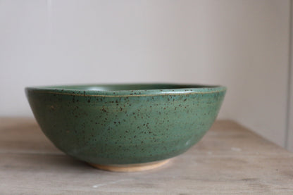 Ramen Bowl Fern