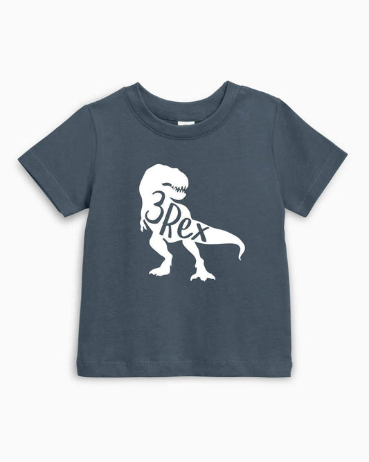 Three Rex Dinosaur Birthday Organic Cotton Kids T-Shirt – 3rd Birthday Baby & Youth Tee Harbor