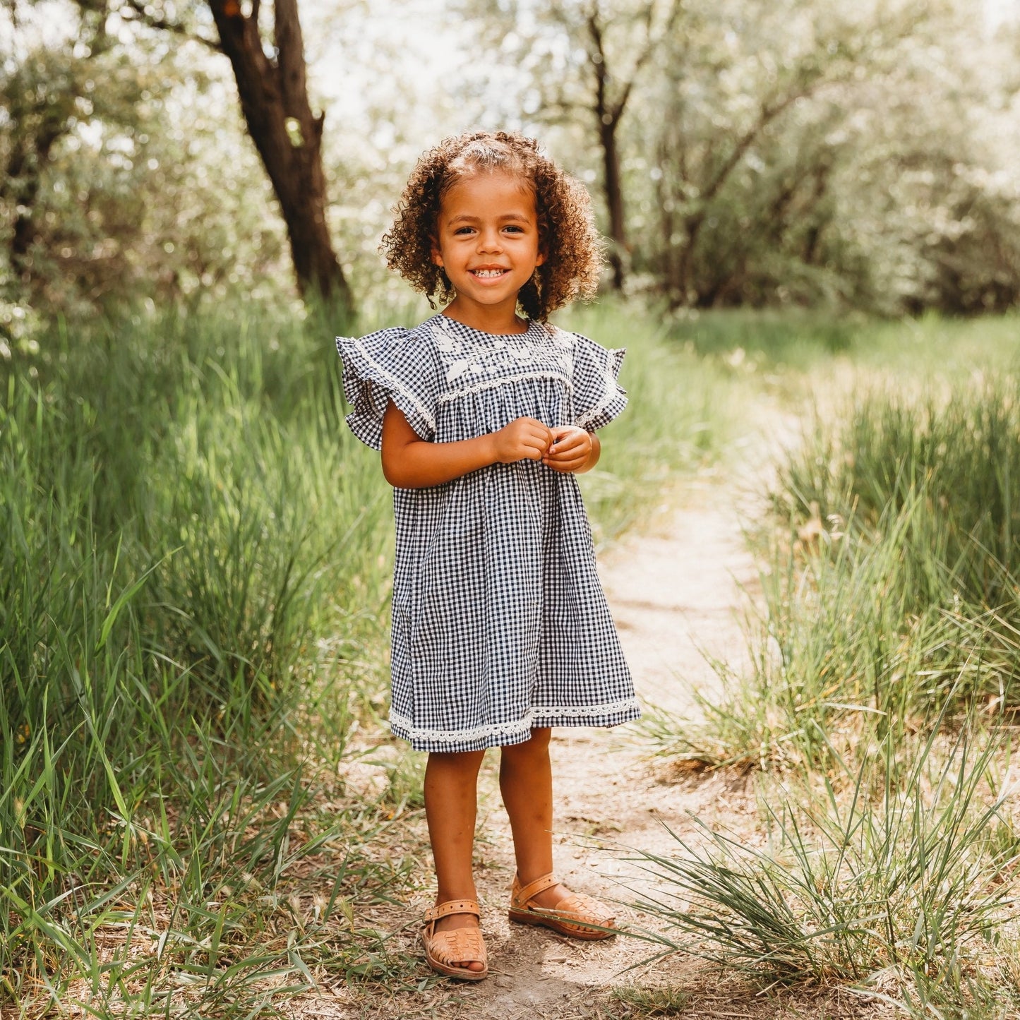 Embroidered Yoke Eith Ruffle Sleeves Dress